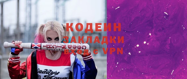 бошки Инта